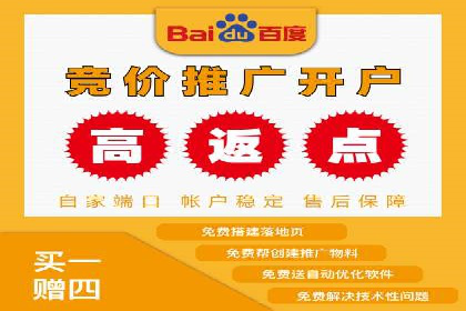 SEM广告案例：数据分析驱动营销决策